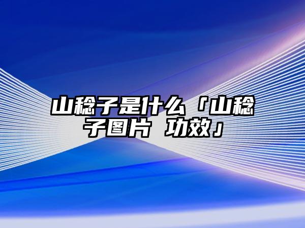 山稔子是什么「山稔子图片 功效」